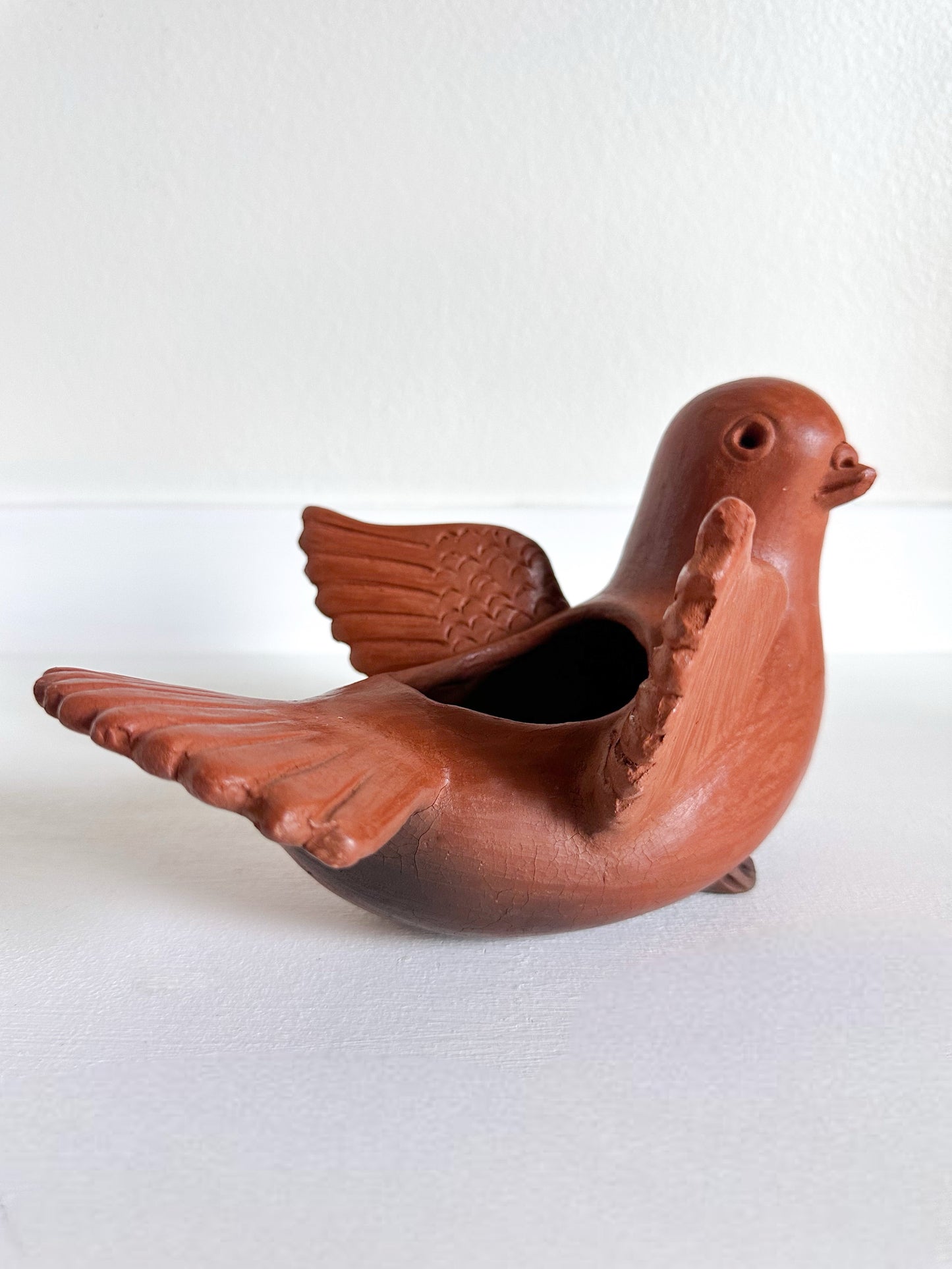 Paloma Open Wings