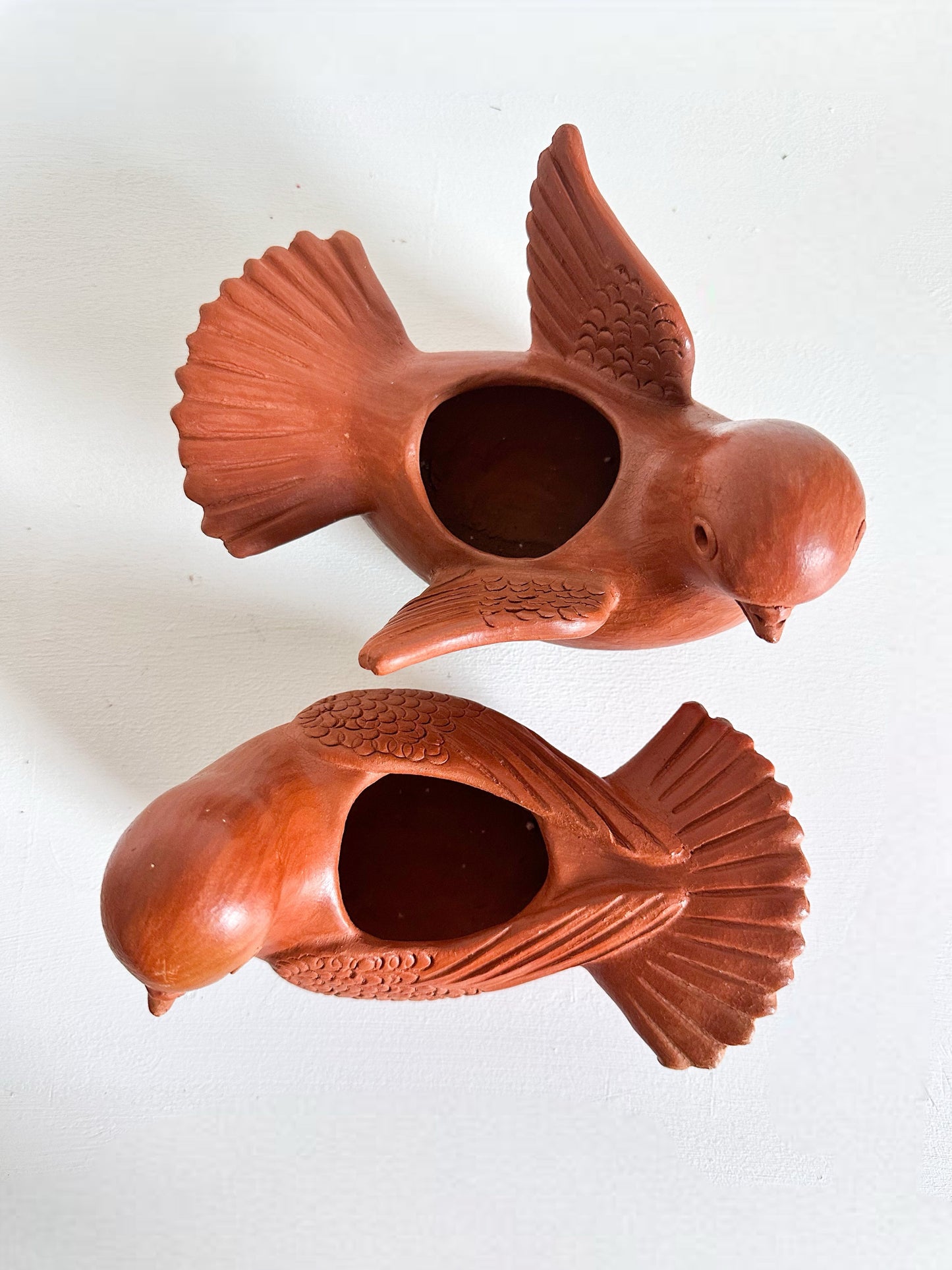 Paloma Open Wings