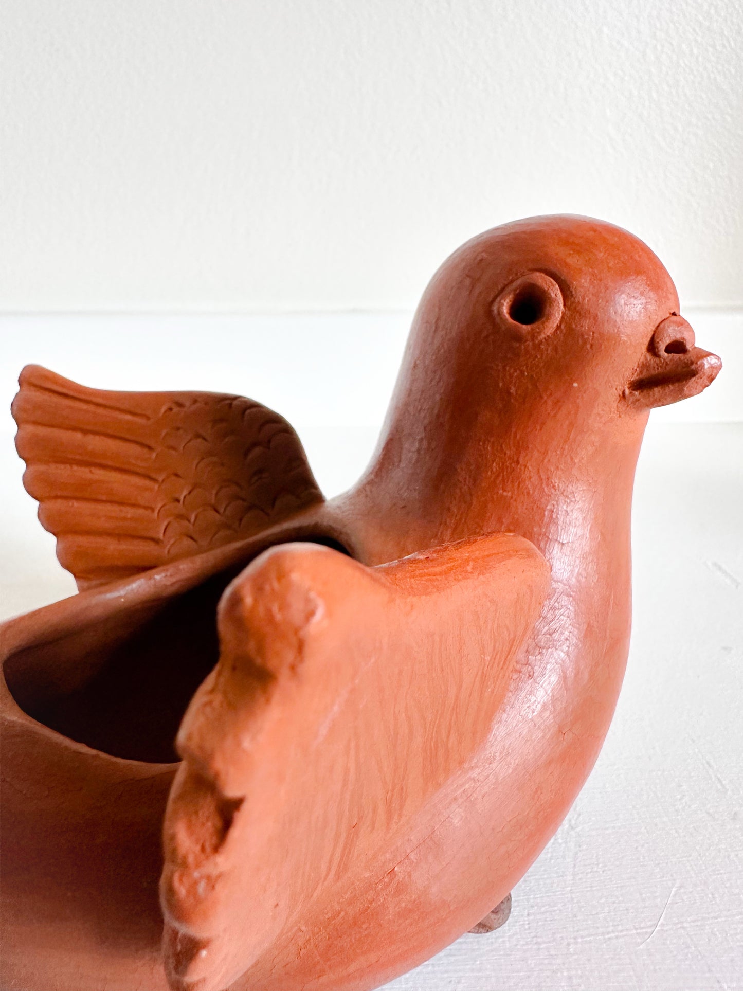 Paloma Open Wings
